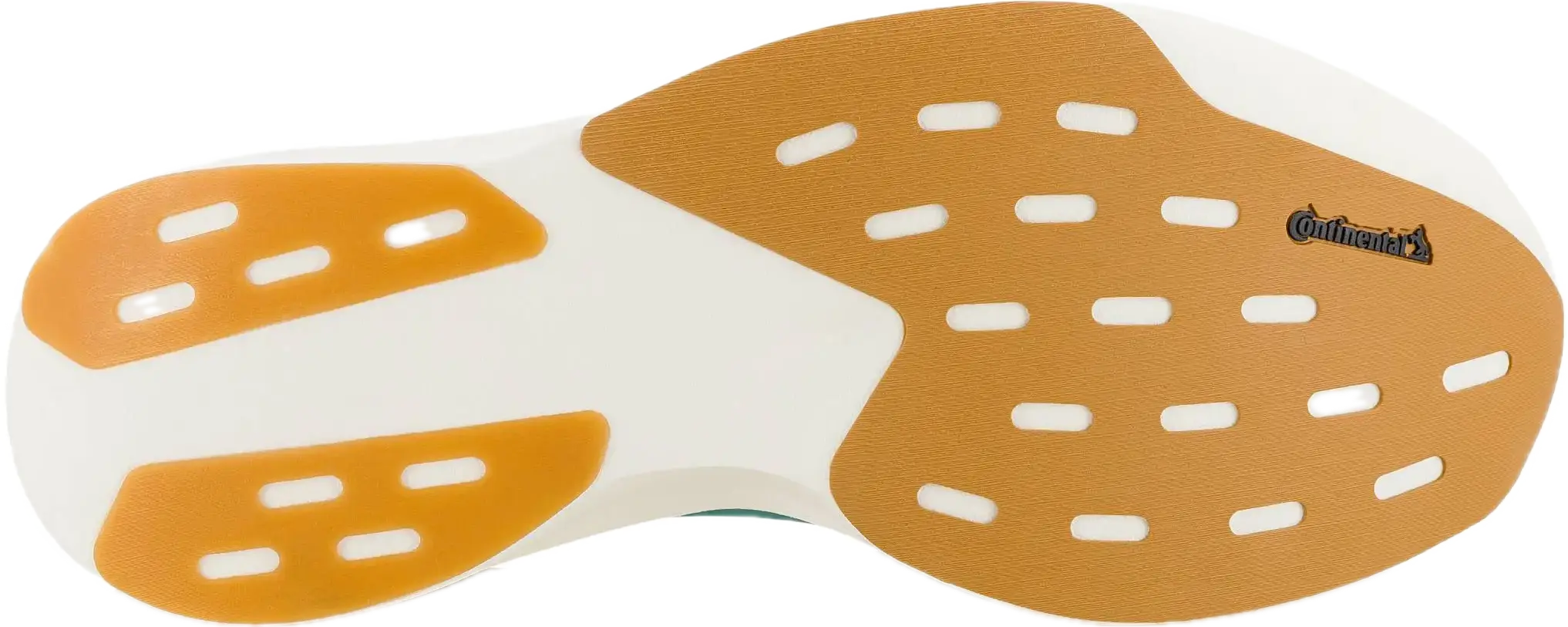 Semelle de l'Adidas Evo SL vue de dessous, patins de gomme Continental et mousse à nu au milieu